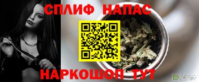 индика Гагарин