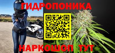 ешки Гатчина