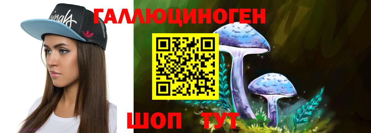 Нижнекамск  Галлюциногенные грибы Psilocybine cubensis  Галлюциногенные грибы мицелий  Вход с VPN 